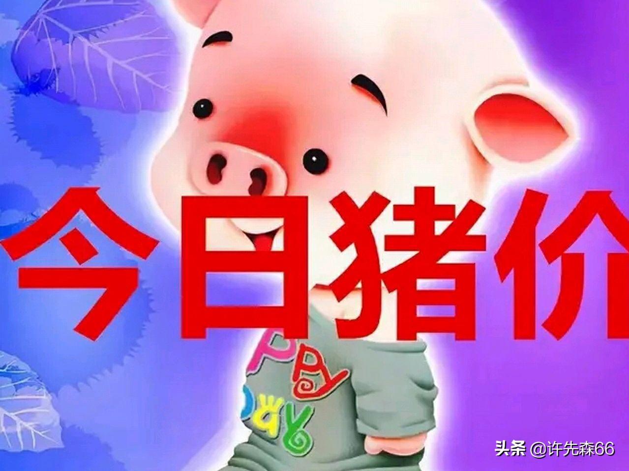娱乐生活 第61页
