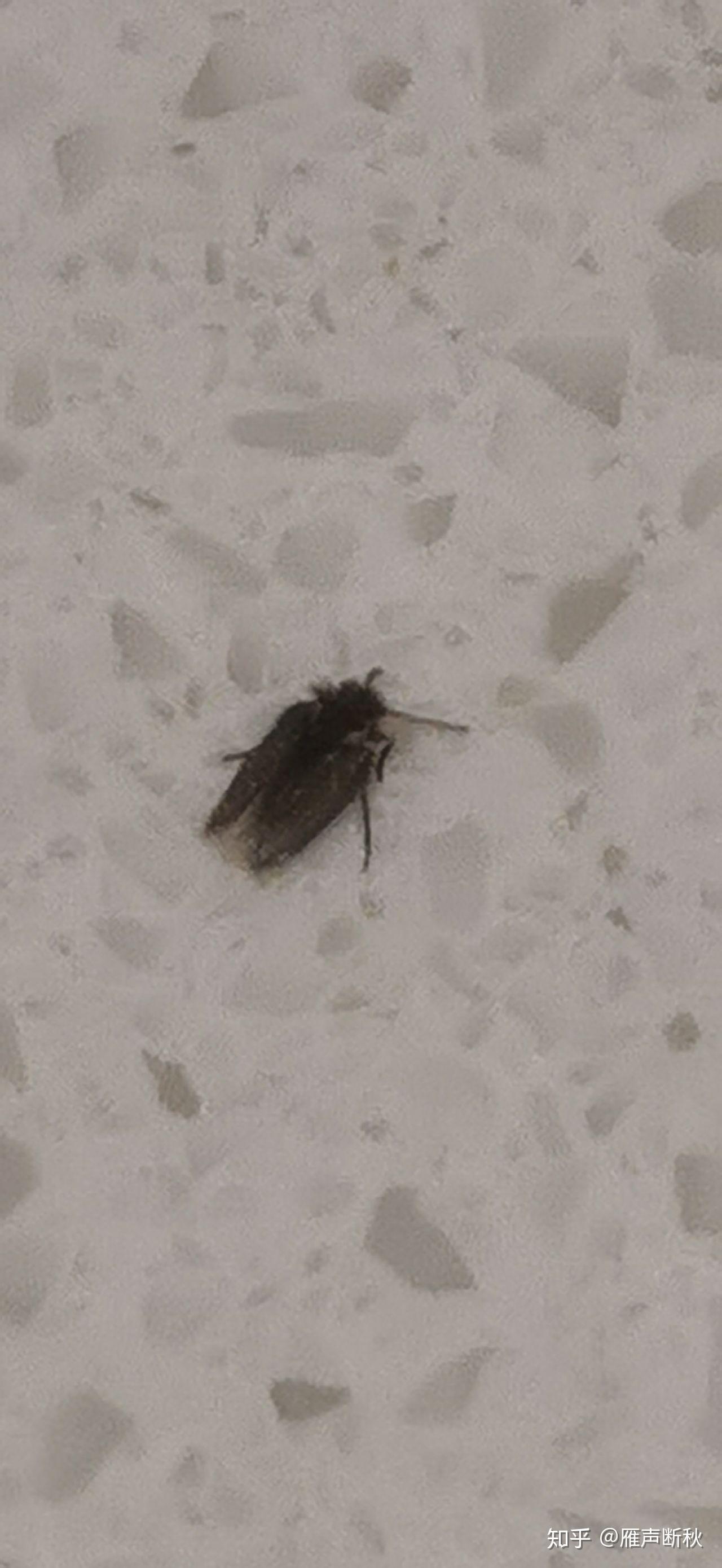 娱乐生活 第58页