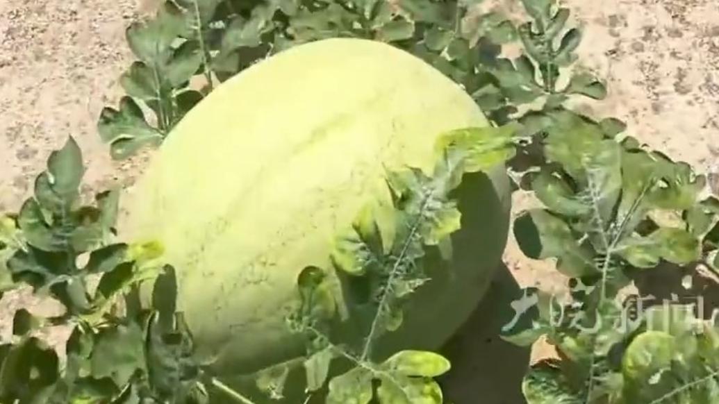 游戏专题 第23页