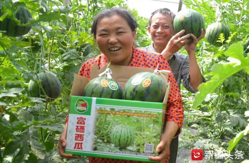 地方新闻 第11页