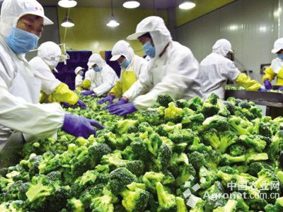 游戏专题 第7页
