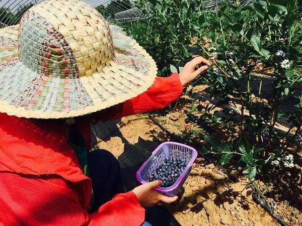 娱乐生活 第4页